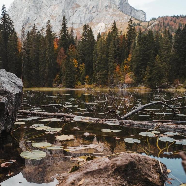 Apartman A&J - One-Bedroom Apartment - 49