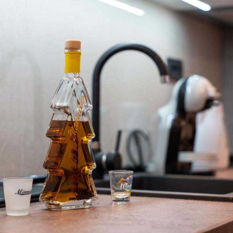 Aurora Lux Apartmani 16 - Apartman sa 1 Spavaćom Sobom - 17