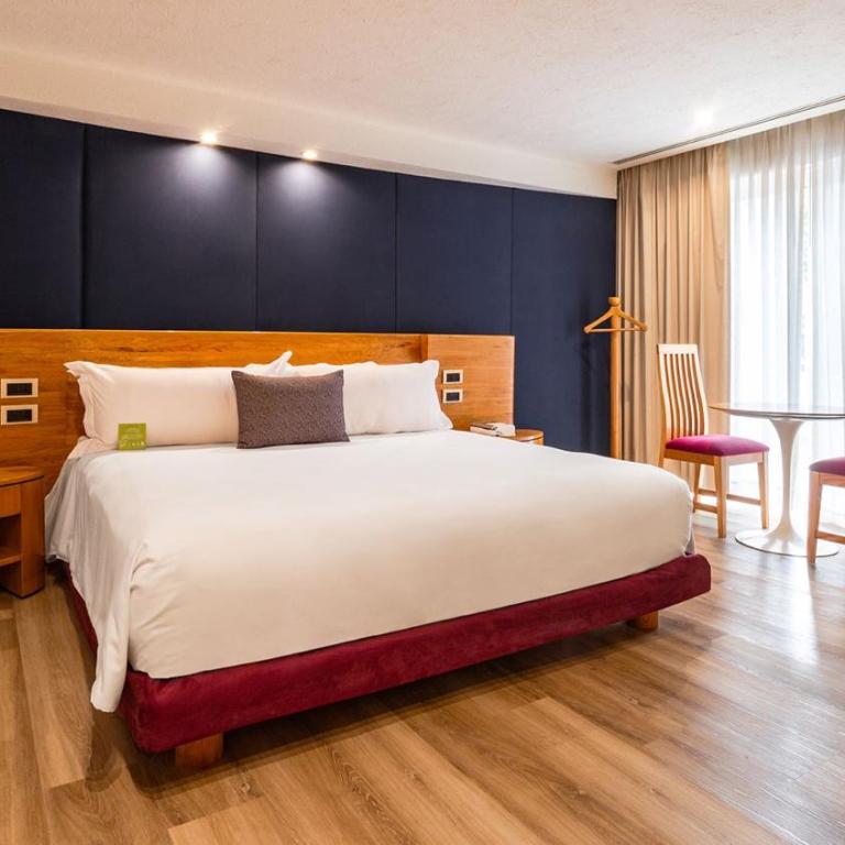 Camino Real Guadalajara - Suite Camichin - 6