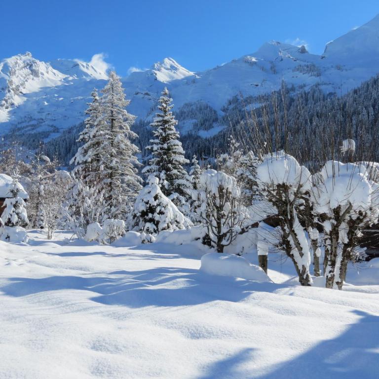 Chalet Gypaète - Apartamento de 2 dormitorios - 19