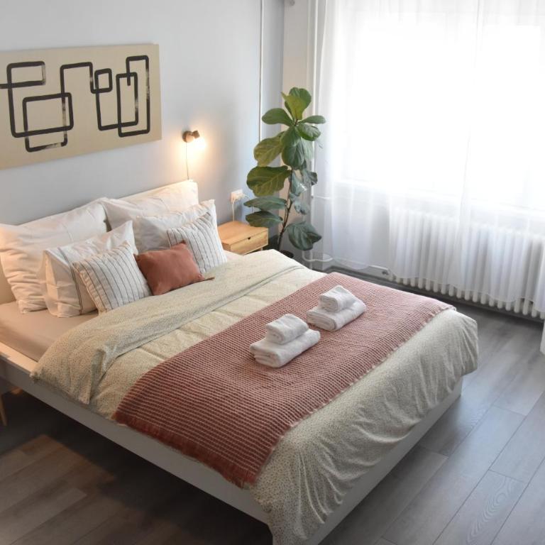 Pannonian sailor - Apartman sa 1 Spavaćom Sobom - 6