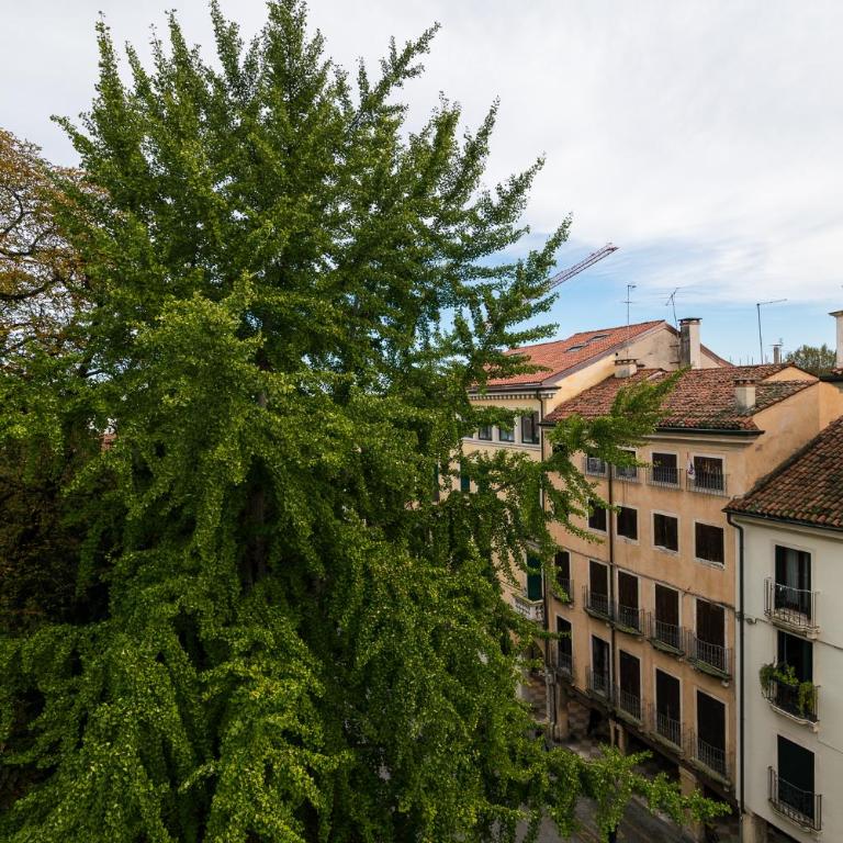 Residenza Corso Palladio 159 - Appartamento con 3 Camere da Letto - 15
