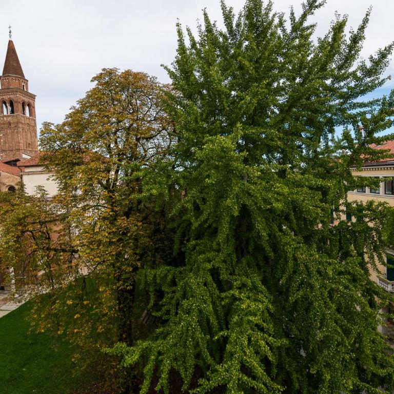 Residenza Corso Palladio 159 - Appartamento con 3 Camere da Letto - 14
