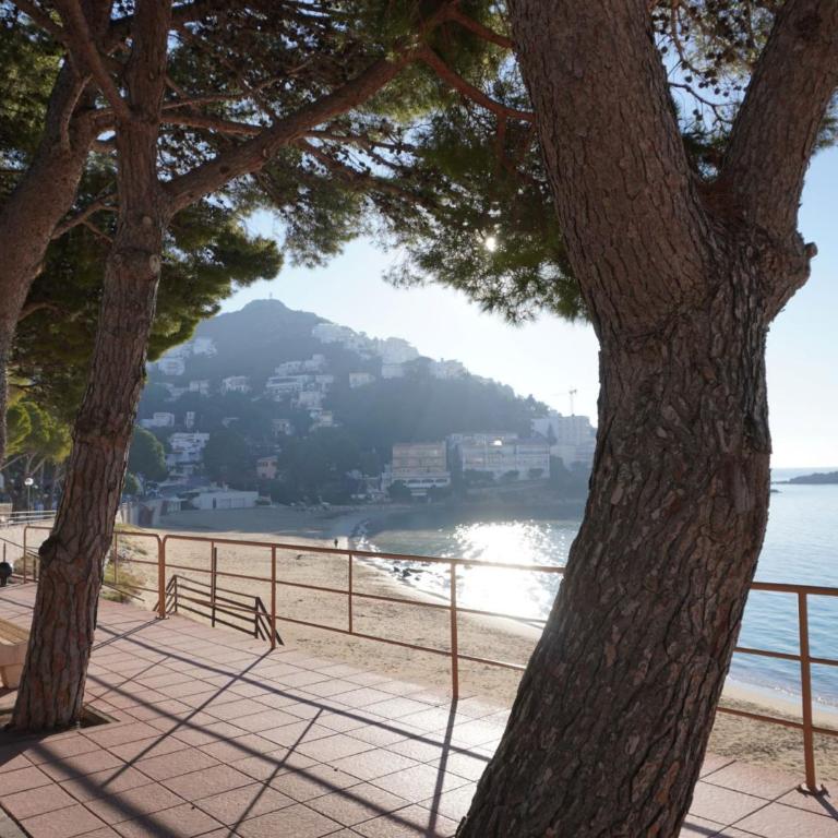 S1 - Apt 2ch avec terrasse face a la mer, parking inclus - Apartamento de 2 dormitorios - 12