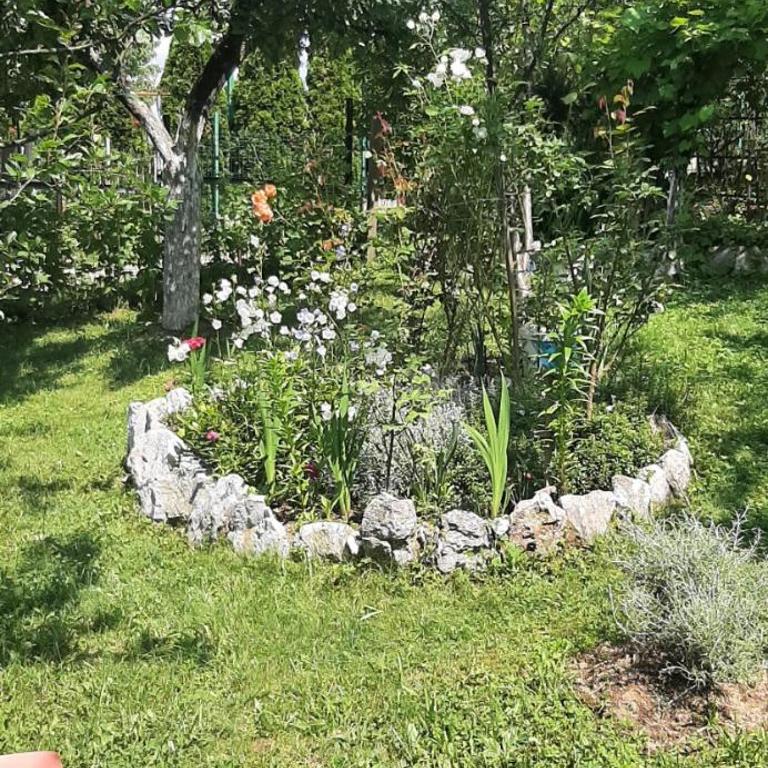 Misevici vikendica - Kuća sa 2 Spavaće Sobe - 8
