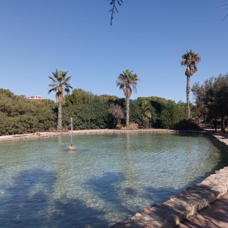 Bonito Apartamento 150 m de la playa La Mata - Apartamento de 1 dormitorio - 41