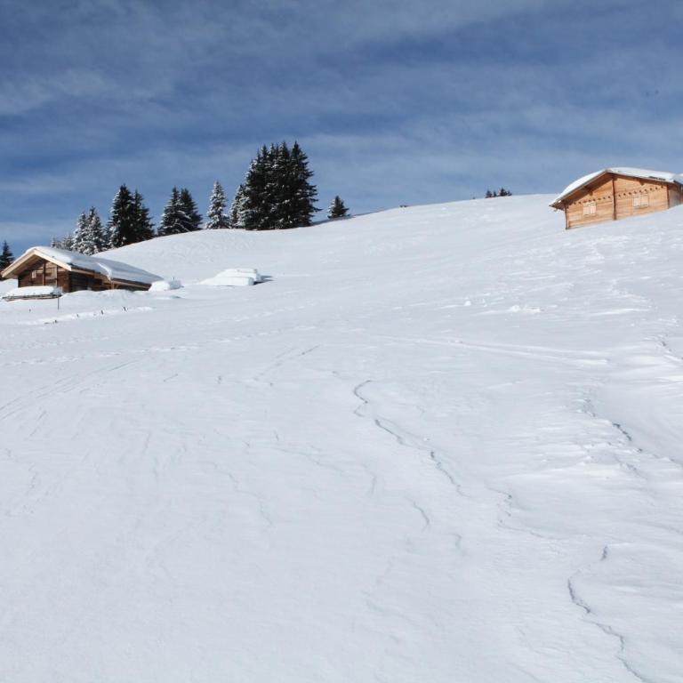 Chalet La Trafolée - Chalet - 37