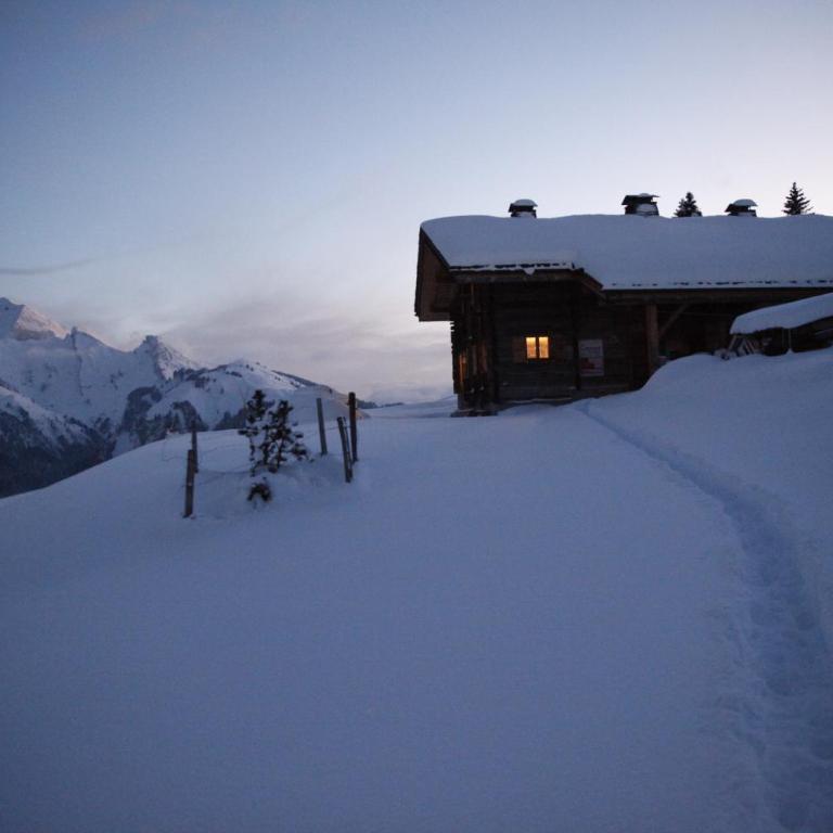 Chalet La Trafolée - Chalet - 38