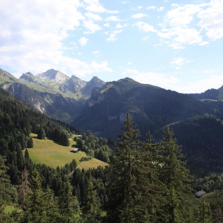 Chalet La Trafolée - Chalet - 29