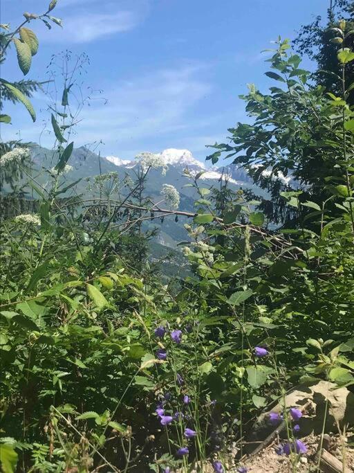 Montchavin vue Mont-Blanc 4 pers - Apartment mit 1 Schlafzimmer - 6