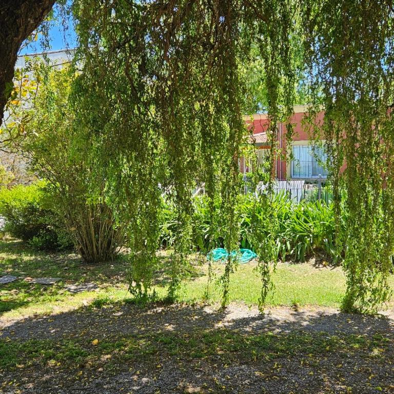 Appart Chascomús - Apartamento - Planta baja - 25