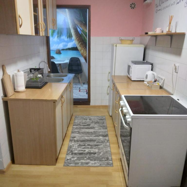 Apartment Sanja - Apartman sa 1 Spavaćom Sobom - 7