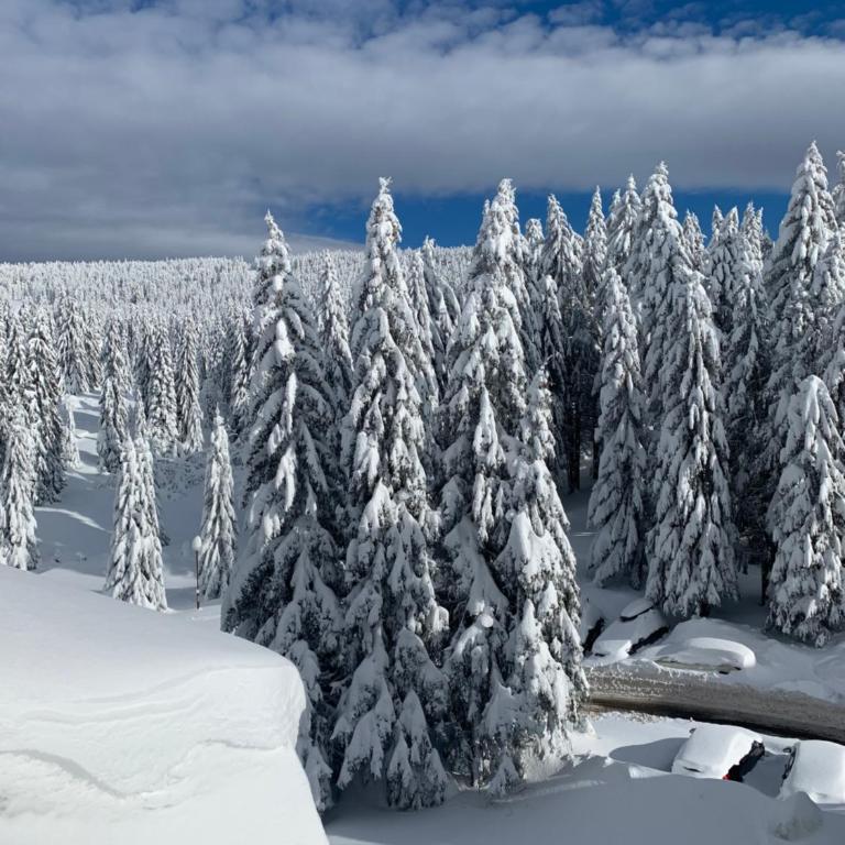 Woodside Kopaonik - Malo jezero, FREE Parking & SPA - Apartment with Mountain View - 26