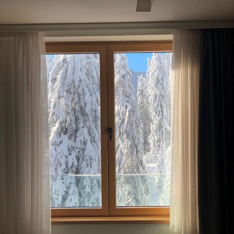 Woodside Kopaonik - Malo jezero, FREE Parking & SPA - Apartment with Mountain View - 24