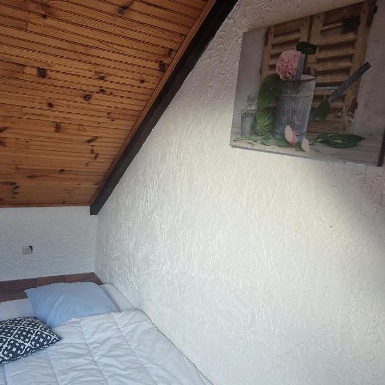 Maison complète Ganzes Haus House 6 Peronnes La Finière Seealpen Isola Village bei Nizza Alpes -Maritimes près de Nice 70 km - Maison 3 Chambres - 33