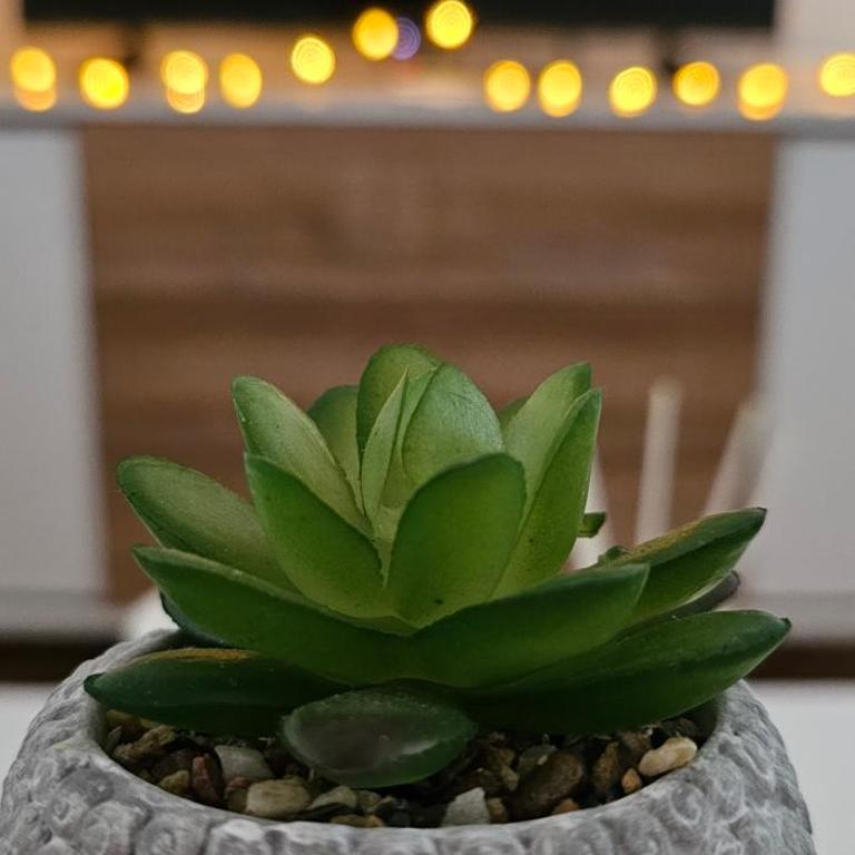 SunShine Apartman CityBlock - Apartman sa 2 Spavaće Sobe - 16