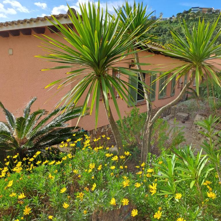 La Casa Celestial - Villa - 39