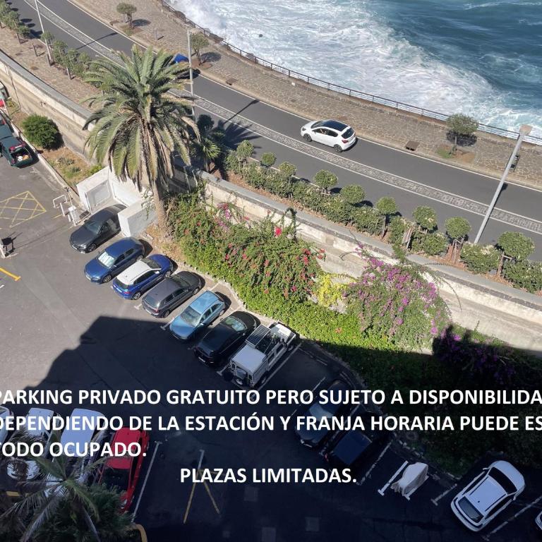 Apartamento en primera línea de playa - Apartamento de 1 dormitorio - 25