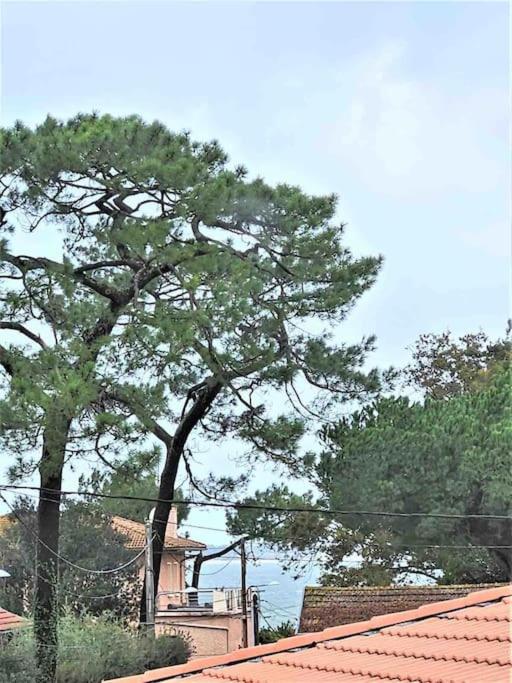 Studio Duplex Arcachon - One-Bedroom Apartment - 10
