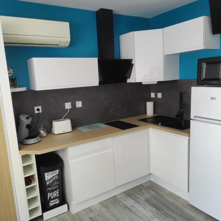 Studio climatisé 50 m.du port - One-Bedroom Apartment - 1