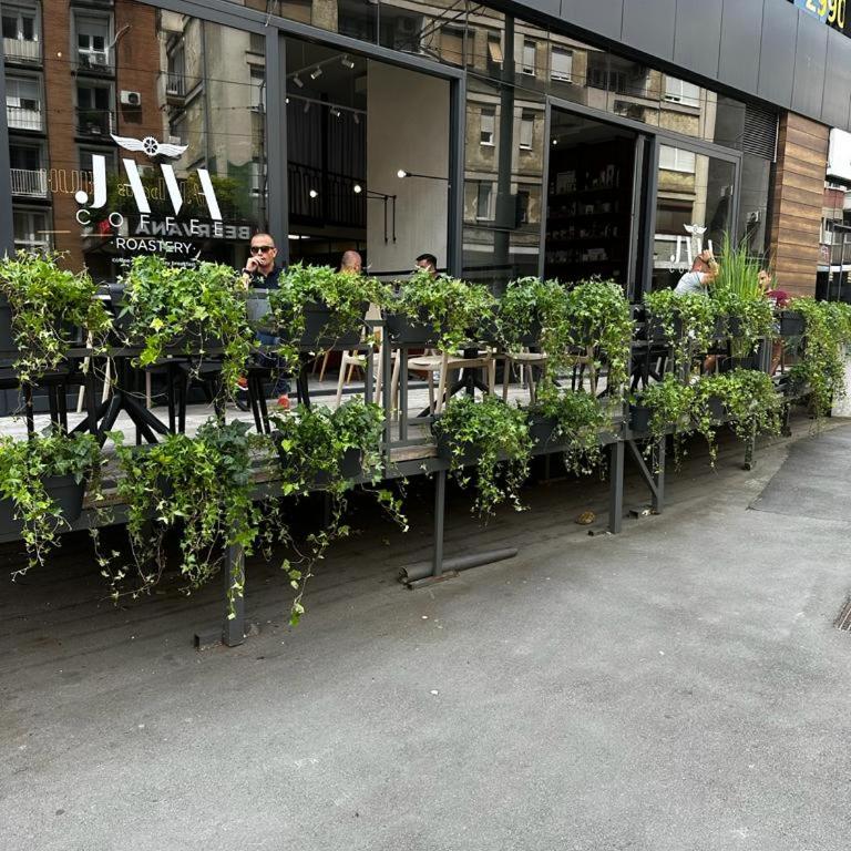 Hill Dreams Lux - Apartman sa 1 Spavaćom Sobom - 8