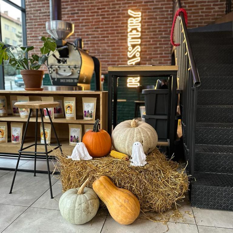 Hill Dreams Lux - Apartman sa 1 Spavaćom Sobom - 7