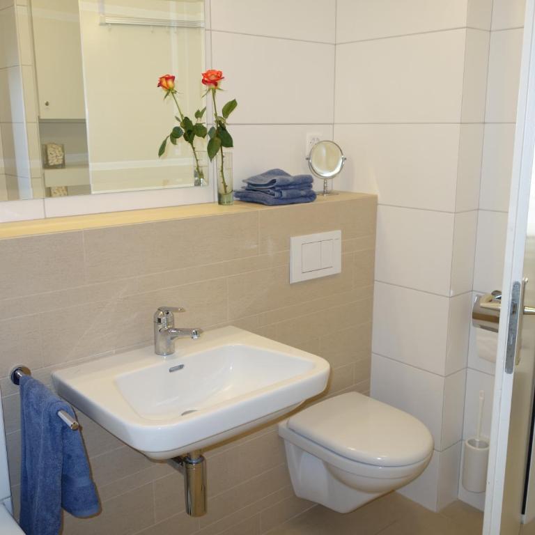 Laax Rancho Studio Apartment - Deluxe Studio Apartment - 11