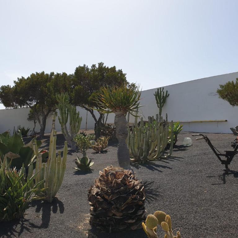Casa Berriel 2 - Casa - 31