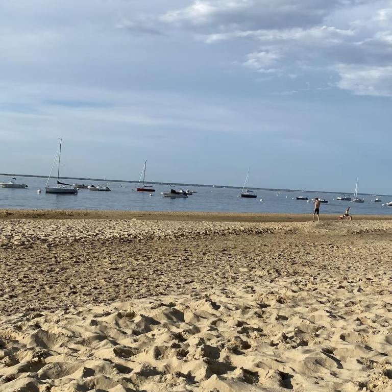 Très bel appartement en rez de jardin, Pereire, 100 m de la plage - Apartment - 4
