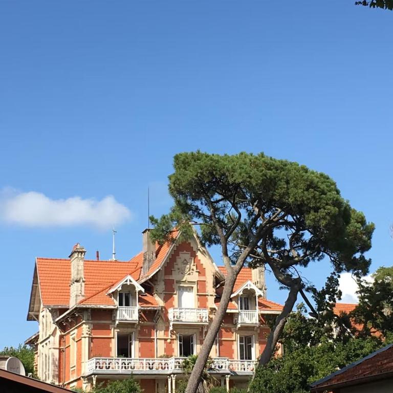 Très bel appartement en rez de jardin, Pereire, 100 m de la plage - Apartment - 9