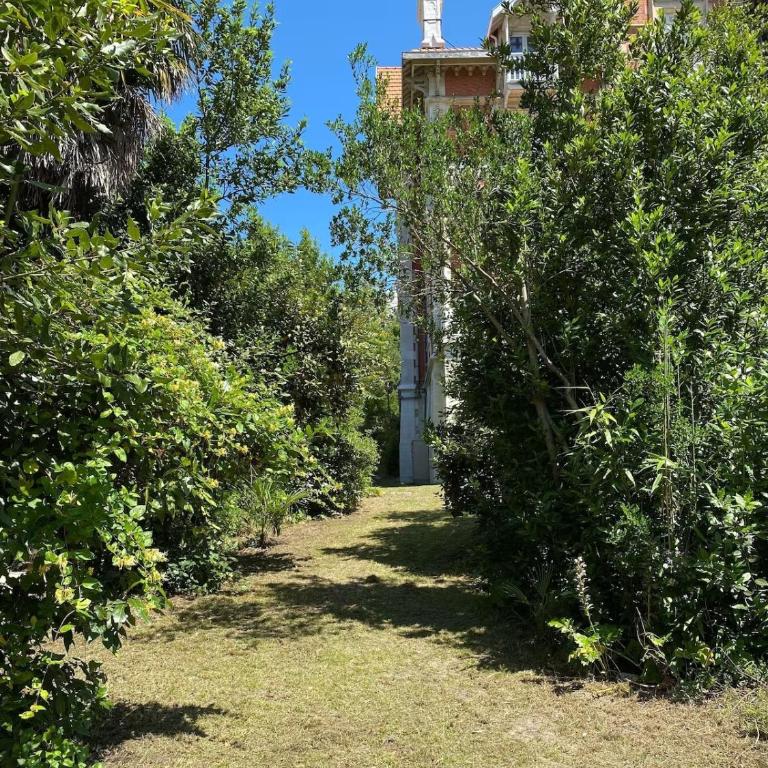Très bel appartement en rez de jardin, Pereire, 100 m de la plage - Apartment - 22