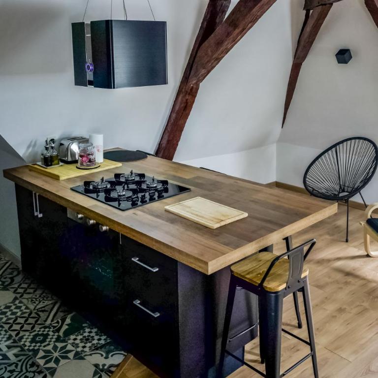 Vue sur la cathédrale - Au cœur de Bourges - Appartement 1 Chambre - 1