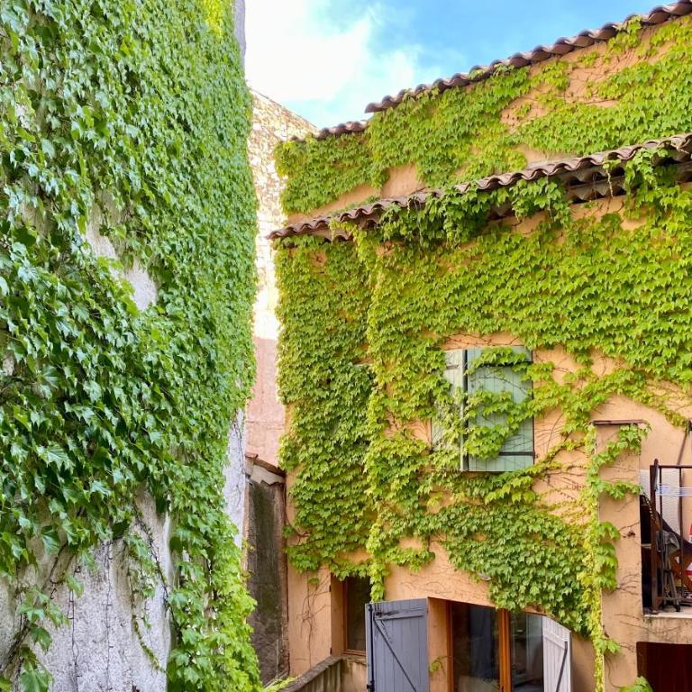 Appart'Terracotta - Au cœur de Lorgues - Appartement 1 Chambre - 22