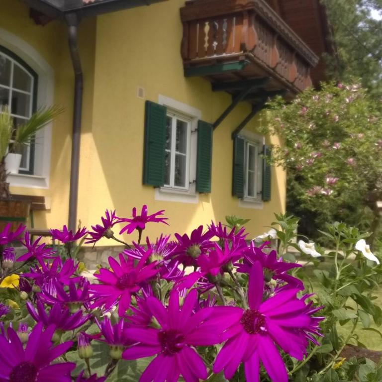 Winemakers Escape - Ferienhaus - 19