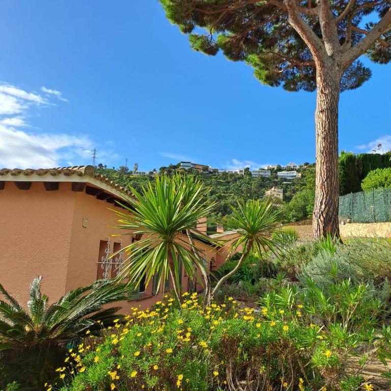 La Casa Celestial - Villa - 42