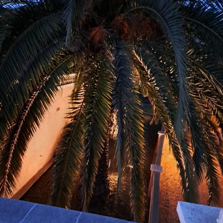 La Casa Celestial - Villa - 45