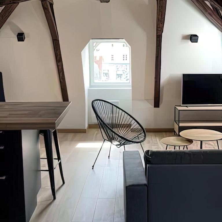 Vue sur la cathédrale - Au cœur de Bourges - Appartement 1 Chambre - 11