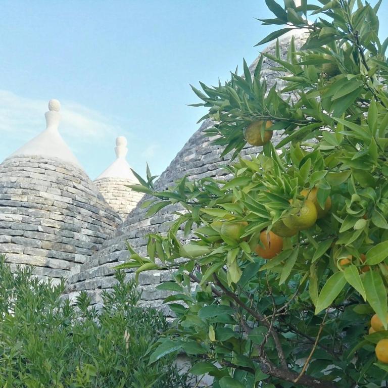 Trulli sull'Aia San Michele - Camera Matrimoniale con Vista Giardino - 12