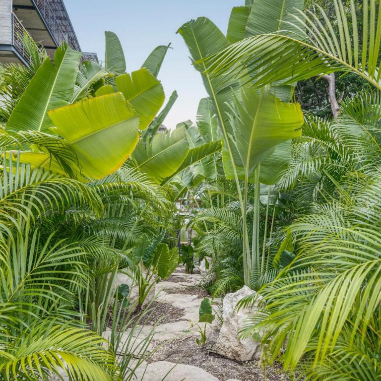 Tulum Paradise - Penthouse with Private Pool and Cenote - One-Bedroom Apartment - 36