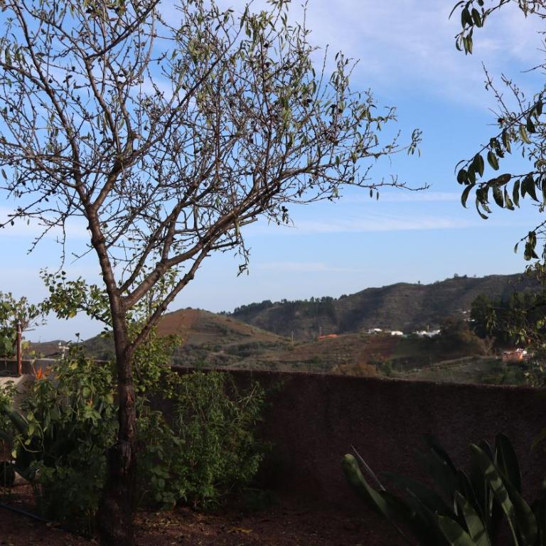 Casa rural Finca Don Amado, San Mateo - Apartamento de 1 dormitorio - 54