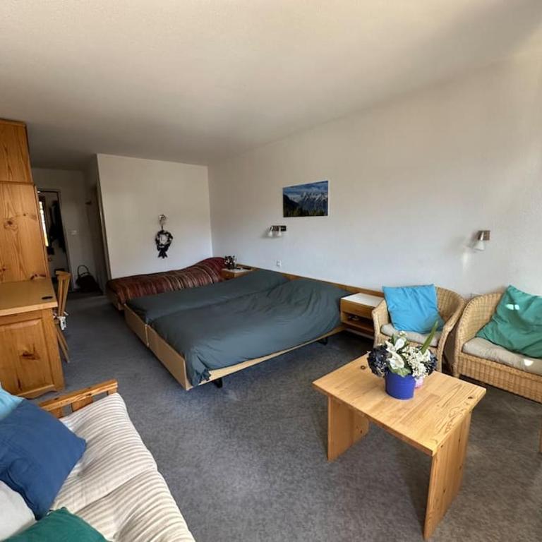 Swiss Paradise 7 Gaste und Nadelhorn 6 Gaste, Sauna - Apartment mit Terrasse - 3