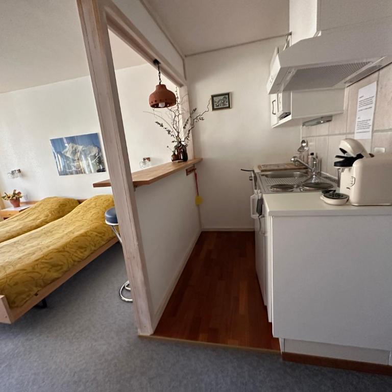 Swiss Paradise 7 Gaste und Nadelhorn 6 Gaste, Sauna - Apartment mit Terrasse - 11