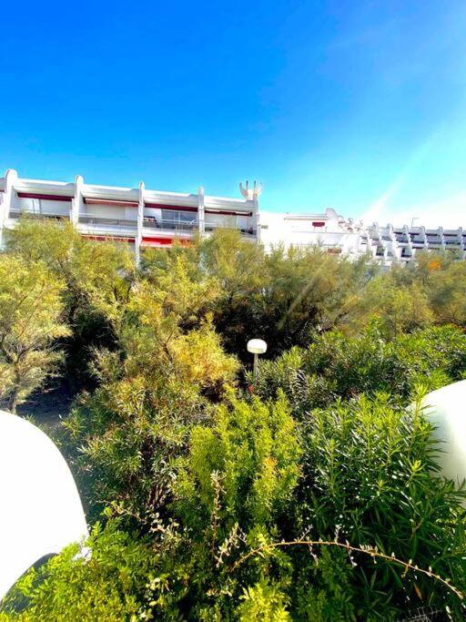 Apartment Le Martinique terrace, sunset beach - Appartement 1 Chambre - 17