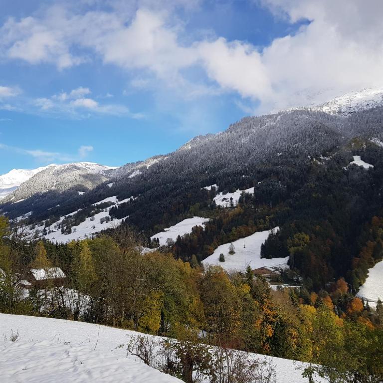 La ferme d'Hauteluce - Chalets - Chalet 3 Chambres - 16