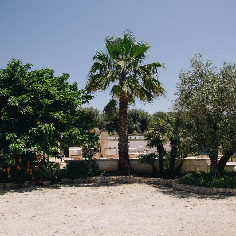 Trullo Leonora - Villa - 50