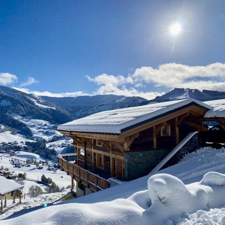 Chalet moderne avec jacuzzi et accès skis aux pieds - FR-1-505-199 - Chalet - 2
