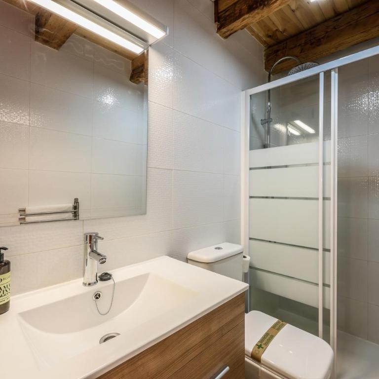 Apartamento Plaza de España - Estudio Estándar - 14