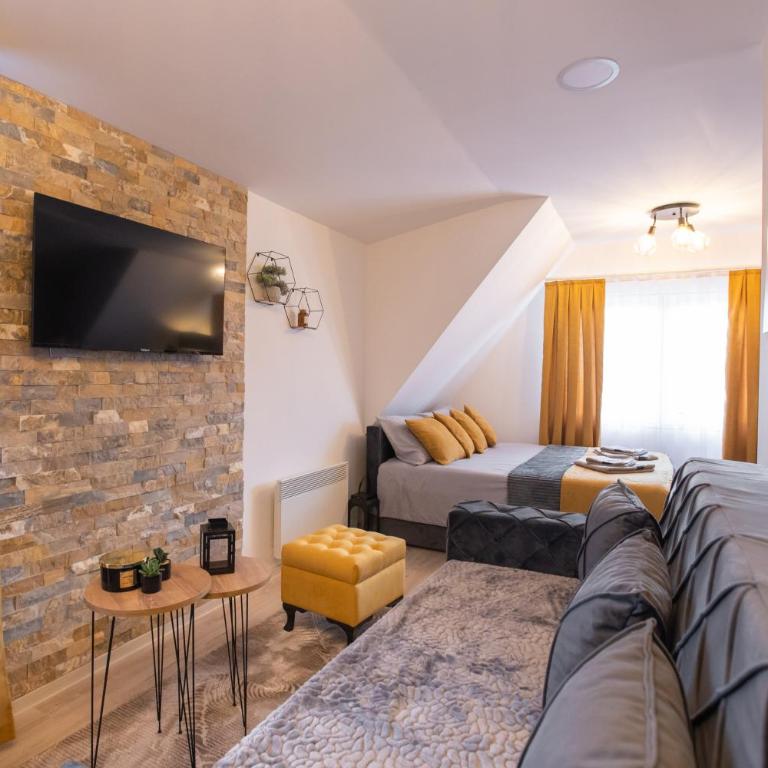 Velickovic Alibi - Apartman sa 1 Spavaćom Sobom - 8