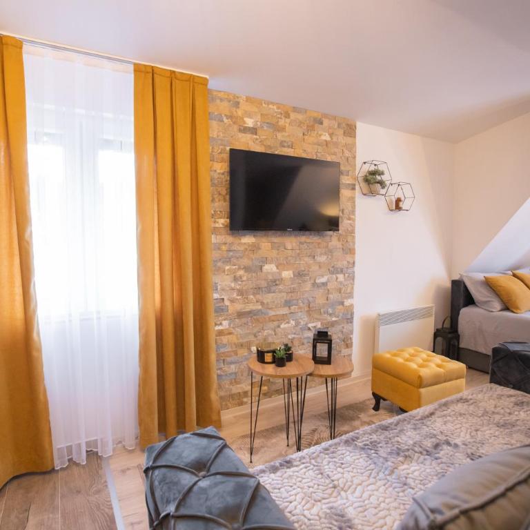 Velickovic Alibi - Apartman sa 1 Spavaćom Sobom - 11