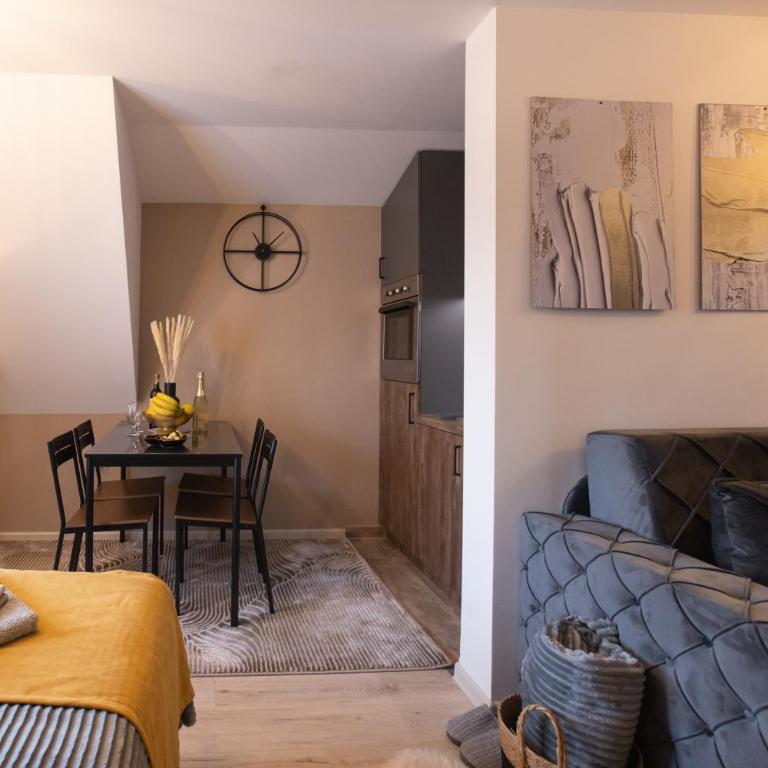 Velickovic Alibi - Apartman sa 1 Spavaćom Sobom - 13